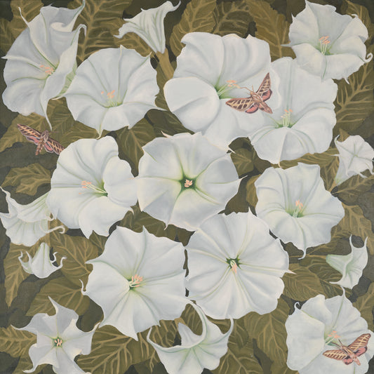 Sacred Moonflower, 36"x36" Original Painting